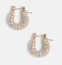 Load image into Gallery viewer, Audrey Hoops