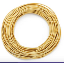Load image into Gallery viewer, DIA Spring Bracelets