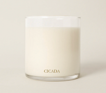 Load image into Gallery viewer, Cicada Desert Sunshine Candle