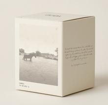 Load image into Gallery viewer, Cicada Rivers Candle