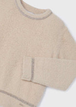 Load image into Gallery viewer, Cozy Sweater with Shimmer Detail
