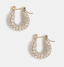 Load image into Gallery viewer, Audrey Hoops
