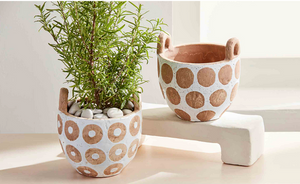 White Dot Pots