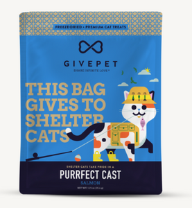 Give Pet Cat Treats