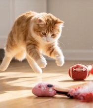 Load image into Gallery viewer, Kitty Era Tour Organic Catnip by Haute Diggity Dog
