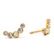 Stud Earrings