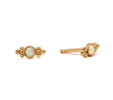 Load image into Gallery viewer, Stud Earrings
