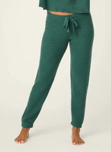 Load image into Gallery viewer, PJ Salvage Sweater Weather Jogger
