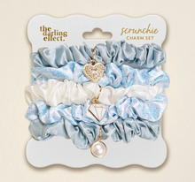 Load image into Gallery viewer, Scrunchie Charm Set - The Darlilng Effect
