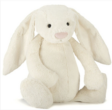 Load image into Gallery viewer, Jellycat Bunny
