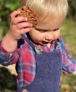 Woven Plaid Shirts & Onesies