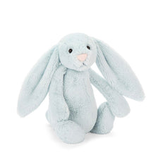 Load image into Gallery viewer, Jellycat Bunny
